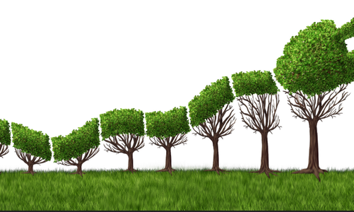 能源勢動：電力行業(yè)的碳中和該如何實現(xiàn)？